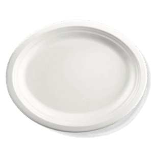 Sugarcane Oval Plate Large