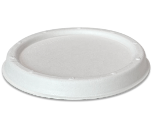 Sugarcane Lid/Fit C004 2000pc/ctn(40BAGS/CTN)